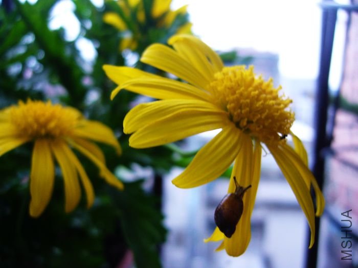 ��Ƭ09 016.jpg
