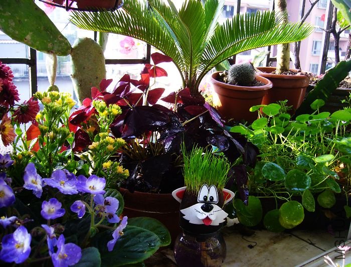 ��Ƭ09 0191.jpg