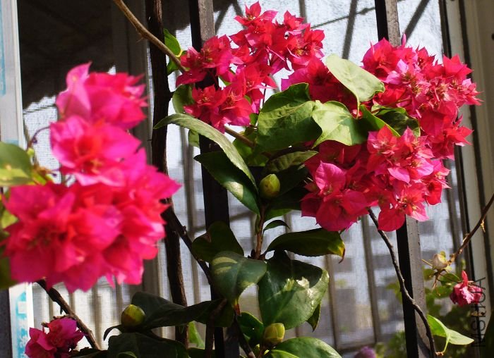 ��÷=�軨������÷