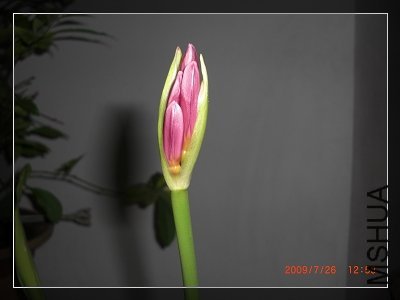 ��������ʱ