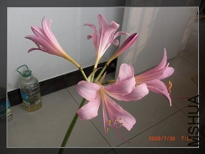 ����ʱ������