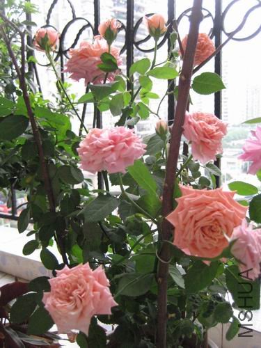 ������С ���� 156.jpg