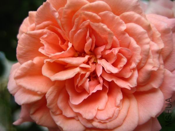 ������С ���� 086.jpg