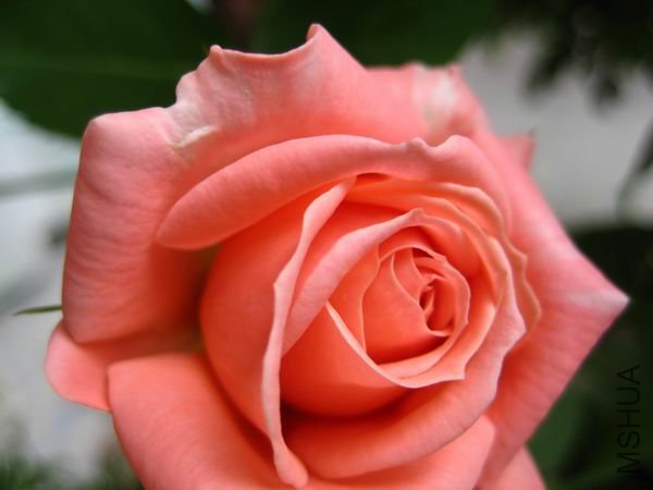 ������С ���� 088.jpg