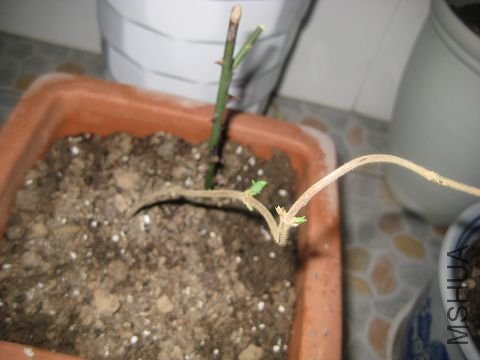 12.8ӭ�������¼�.JPG