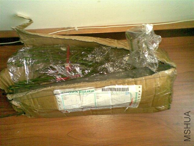 ͼ��091 (С��).jpg