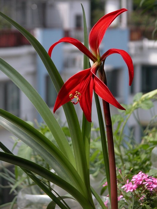 ����ˮ��