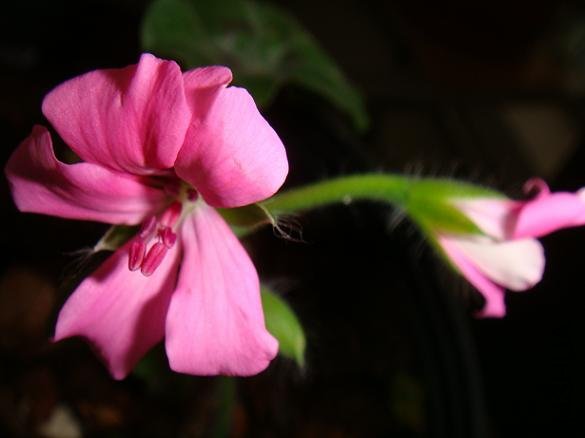 DSC01880.JPG