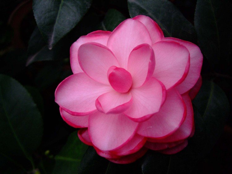 ţ��������09-12-12f (2).jpg