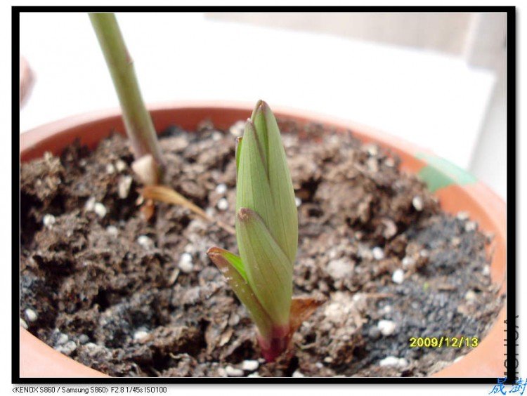 SDC12830_nEO_IMG.jpg