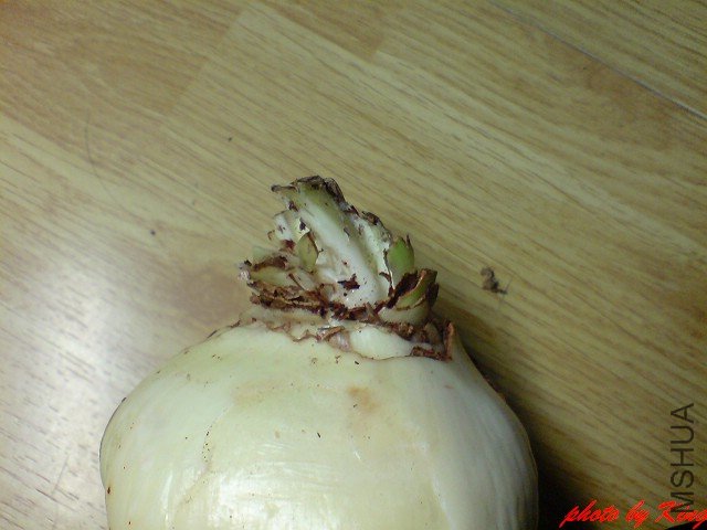 ���յ�ʱ��