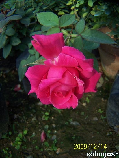 100_6924.jpg