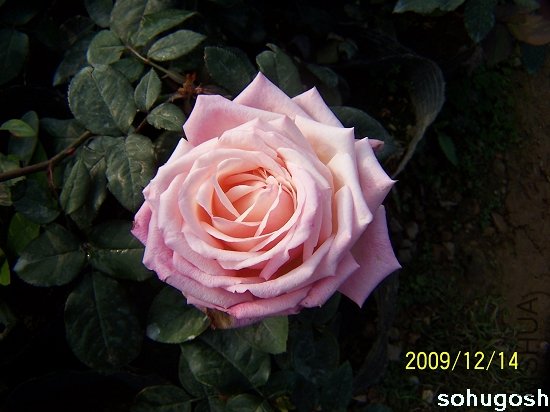 100_6929.jpg