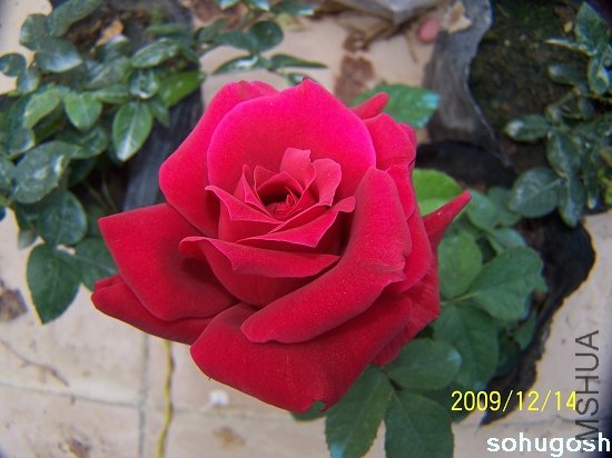 100_6944.jpg