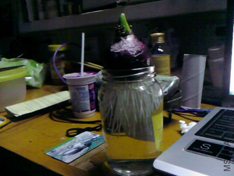 ���Ͻ���~