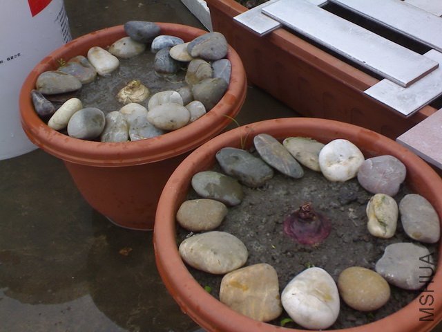 DSC000200.jpg