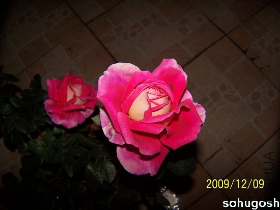 100_6789.jpg