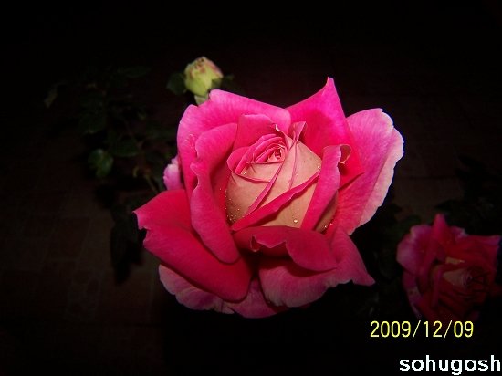 100_6794.jpg