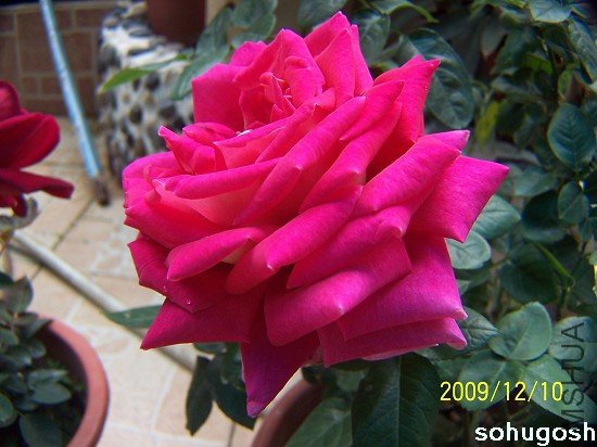 100_6869.jpg
