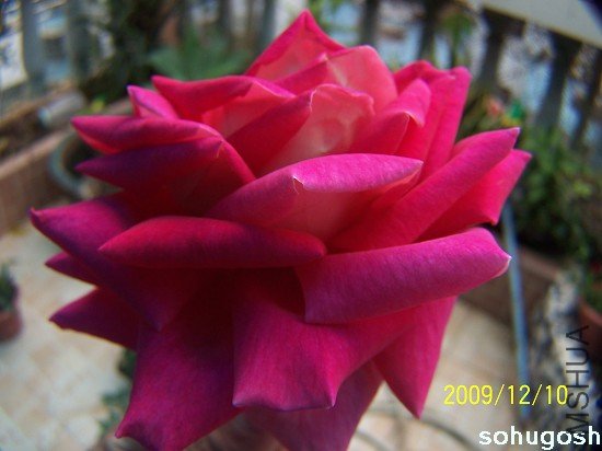 100_6862.jpg