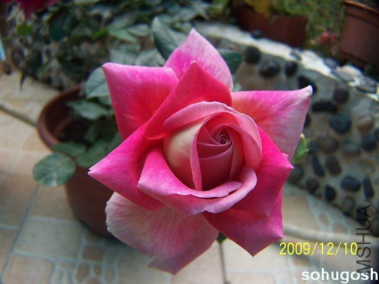 100_6868.jpg