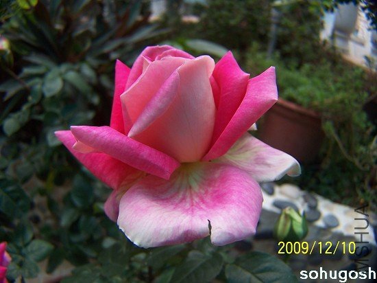 100_6867.jpg