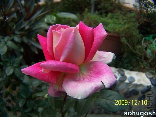 100_6865.jpg
