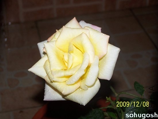 100_6765.jpg