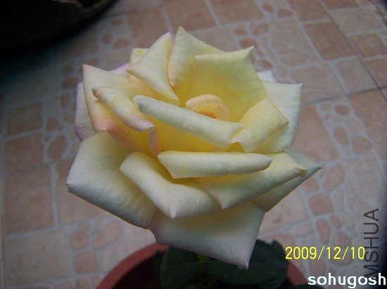 100_6827.jpg
