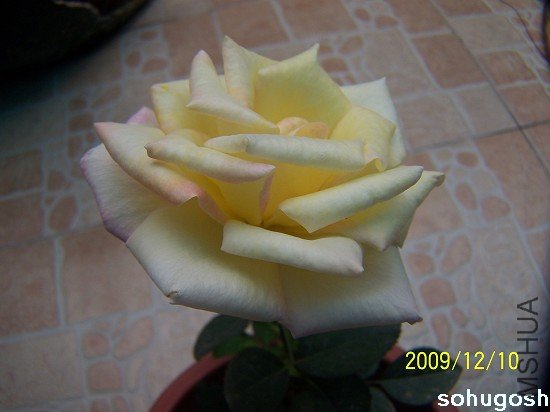 100_6828.jpg