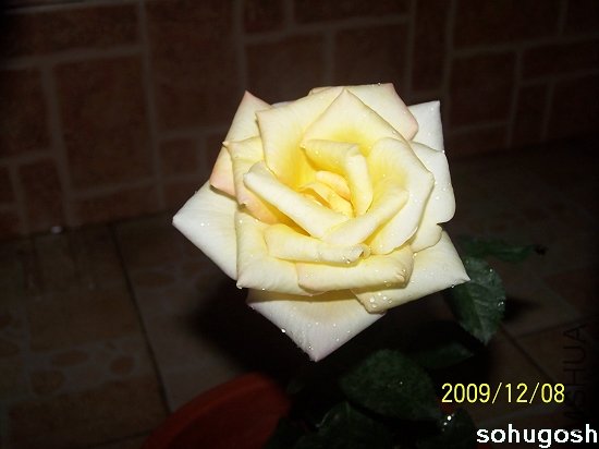 100_6769.jpg