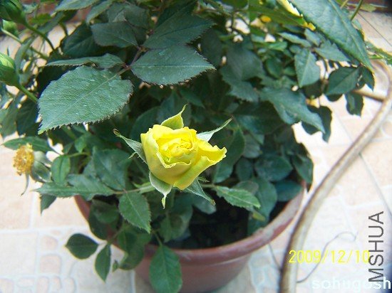 100_6830.jpg