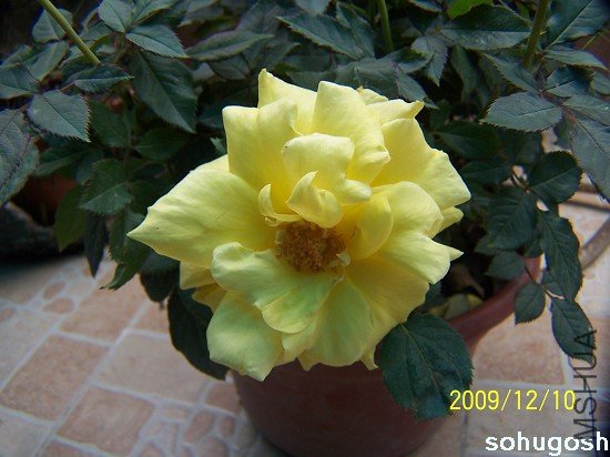 100_6831.jpg