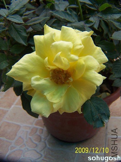 100_6832.jpg