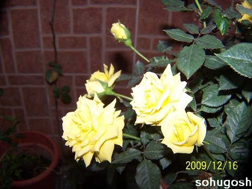 100_6960.jpg