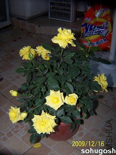 100_6968.jpg