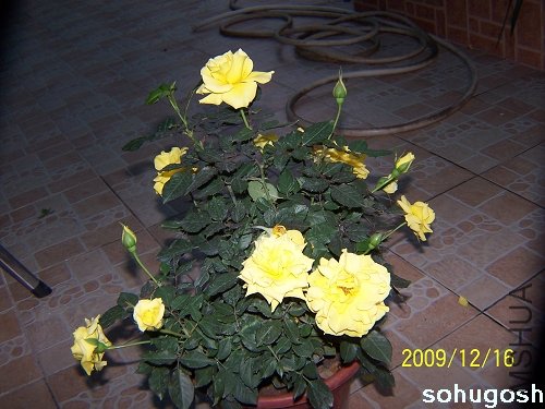 100_6967.jpg
