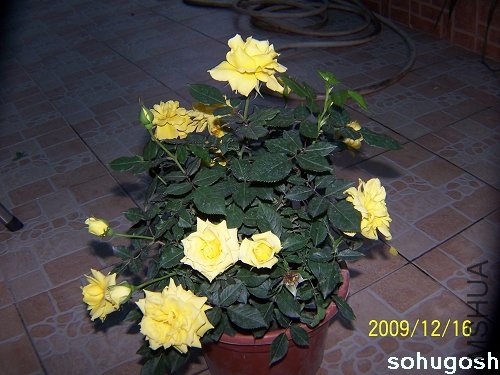 100_6966.jpg