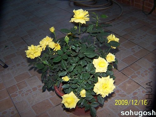 100_6965.jpg
