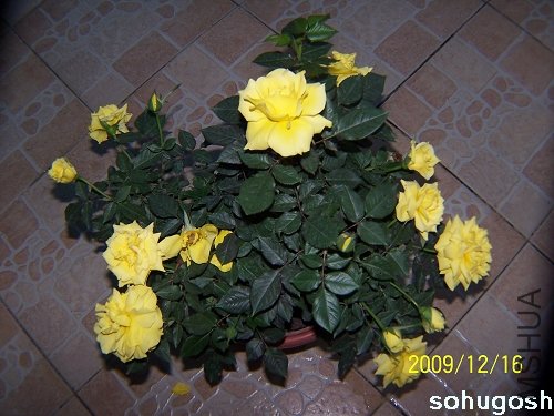 100_6963.jpg
