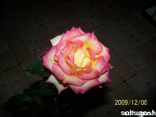 100_6732.jpg