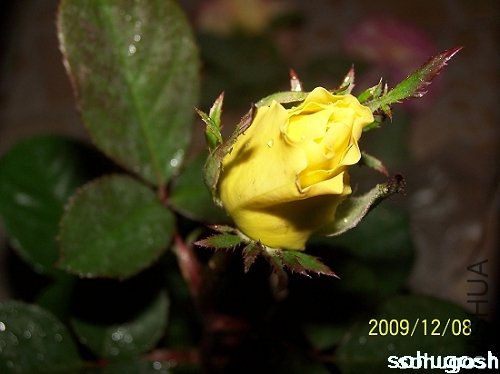 100_6737.jpg
