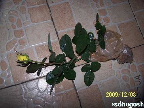 100_6734.jpg