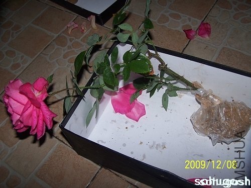 100_6746.jpg