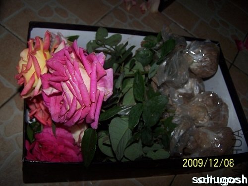 100_6748.jpg