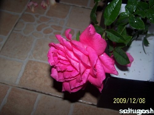 100_6747.jpg