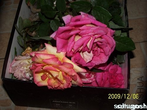 100_6749.jpg