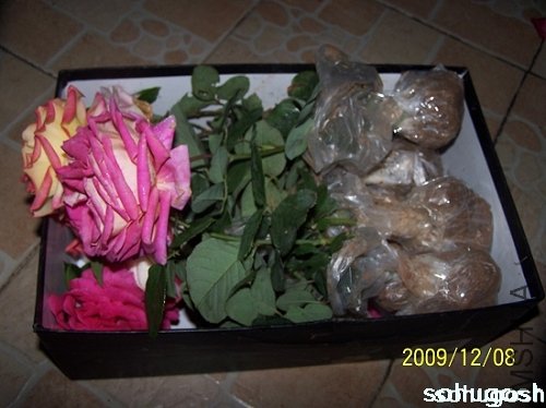 100_6750.jpg