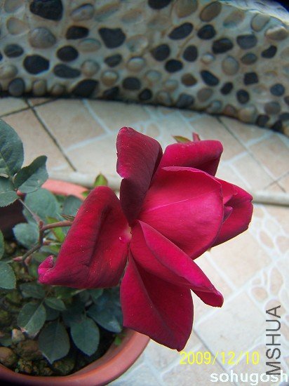 100_6848.jpg