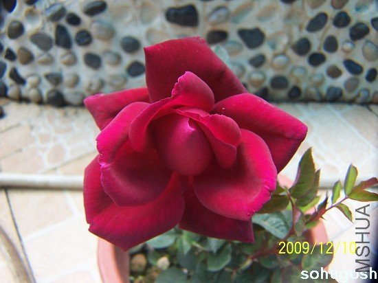100_6846.jpg